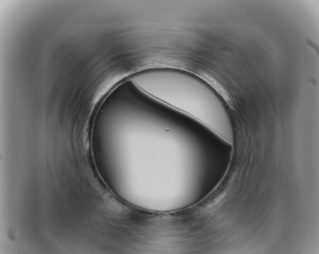 X0000096200885200801181029