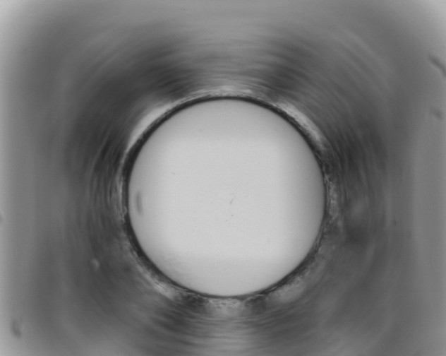 X0000096200886200801181029