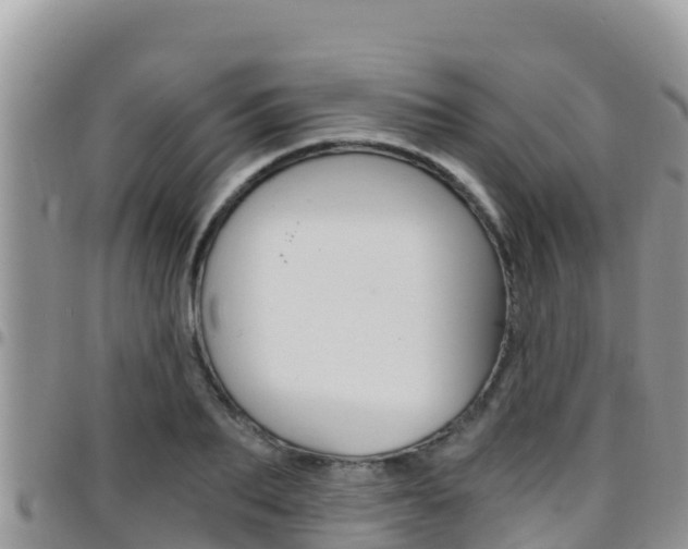 X0000096200887200801181029