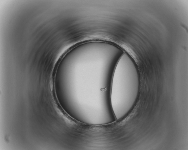 X0000096200888200801181029