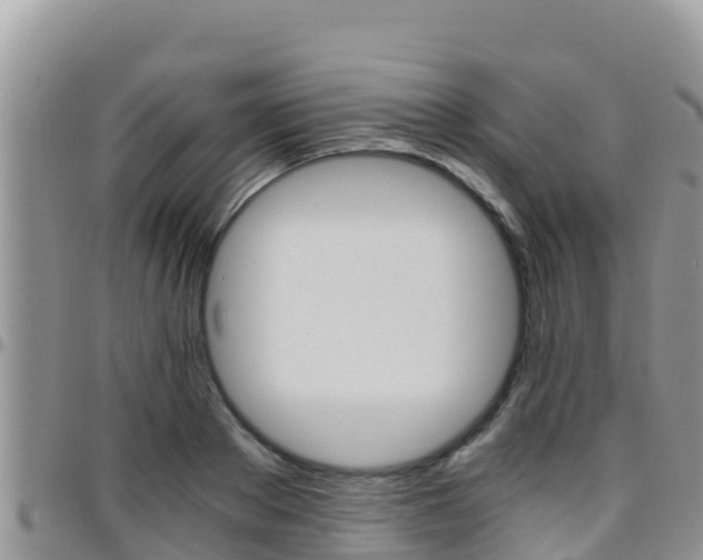 X0000096200889200801181029