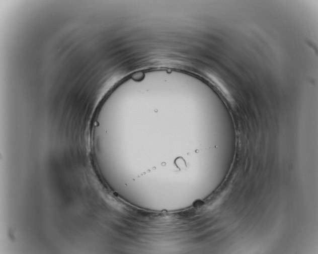 X0000096200891200801181029