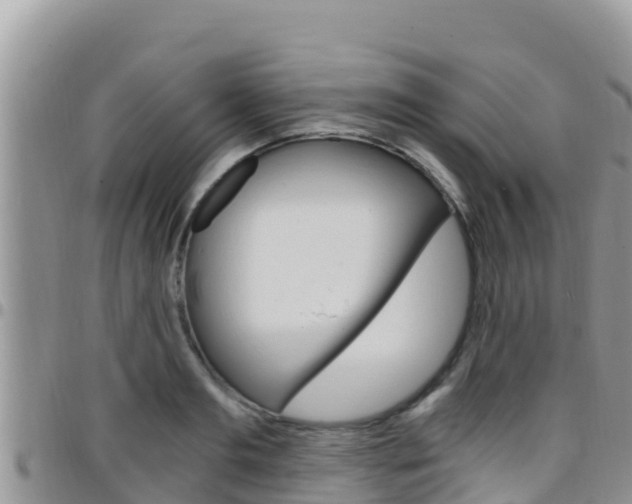 X0000096200893200801181029