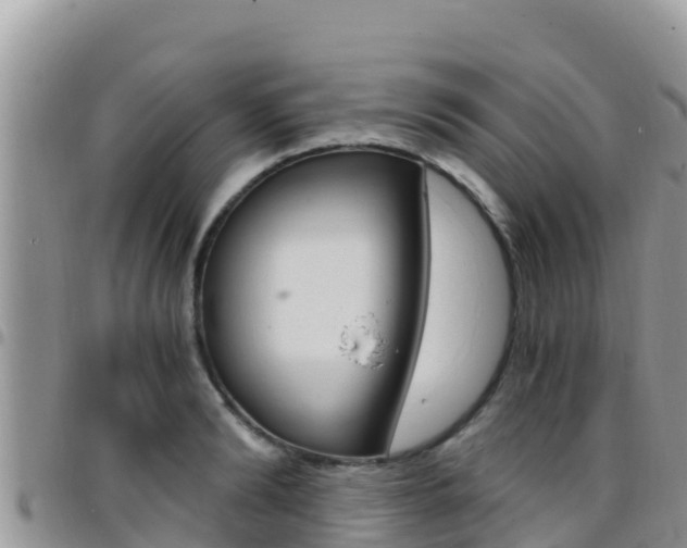 X0000096200894200801181029