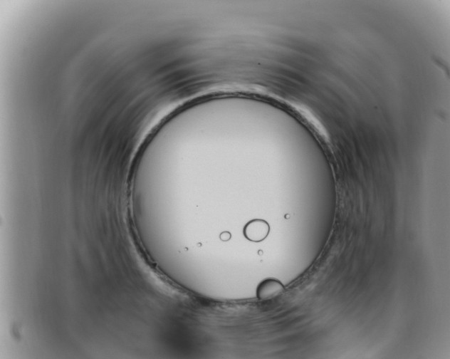 X0000096200895200801181029