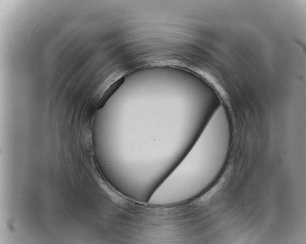 X0000096200897200801181029