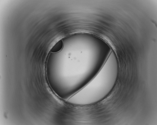X0000096200898200801181029