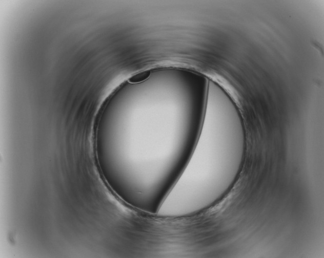 X0000096200902200801181029