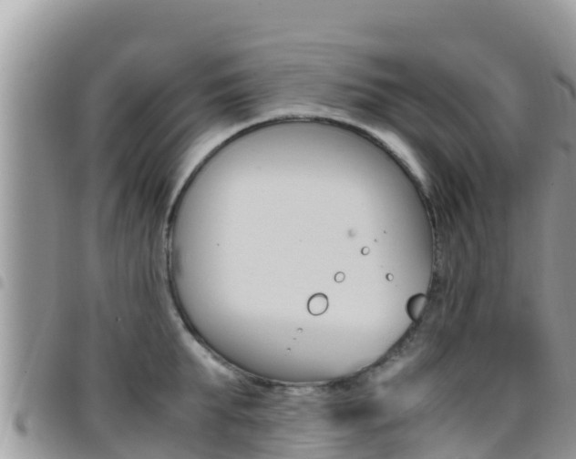 X0000096200903200801181029