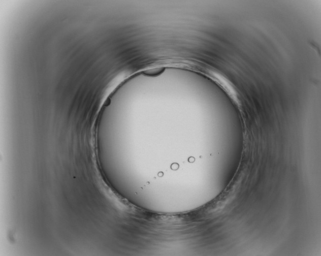 X0000096200907200801181028
