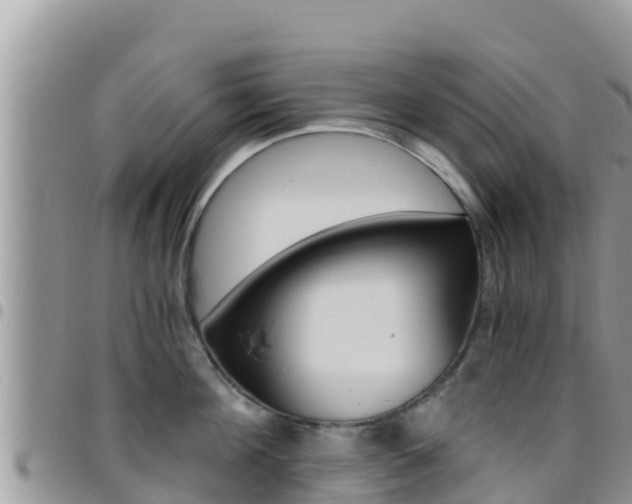 X0000096200908200801181028