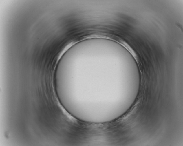 X0000096200909200801181028