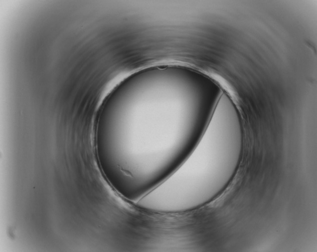 X0000096200910200801181028