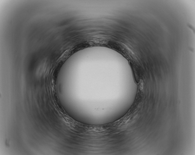X0000096200915200801181028