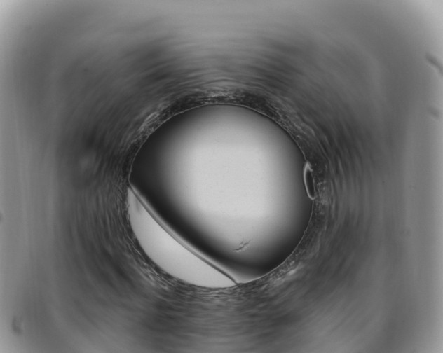 X0000096200916200801181028