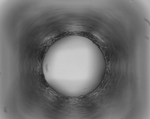 X0000096200917200801181028