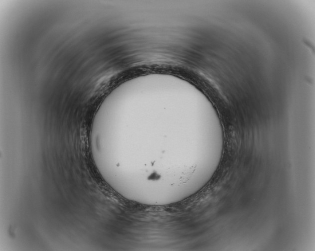 X0000096200918200801181028