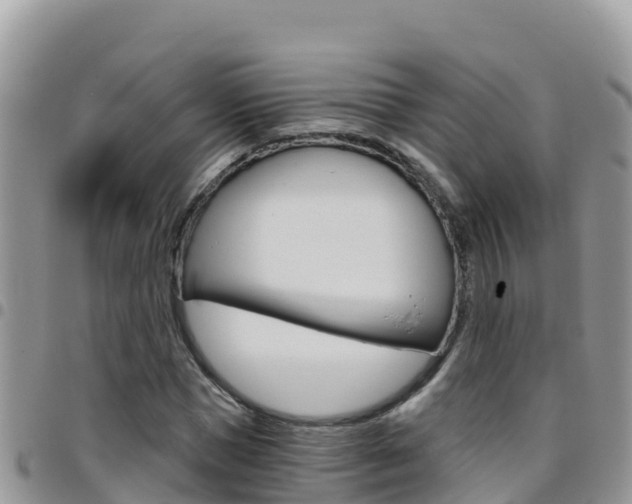 X0000096200921200801181028