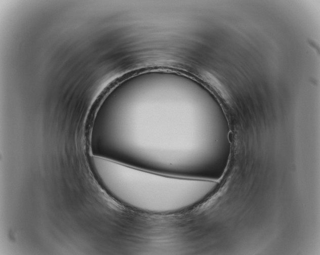 X0000096200924200801181028