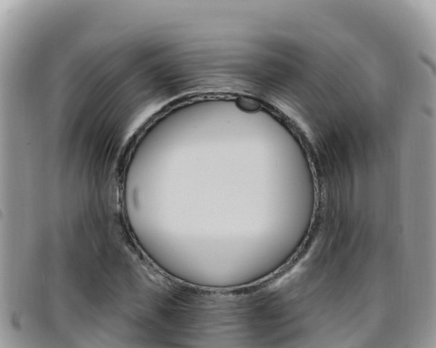 X0000096200925200801181028