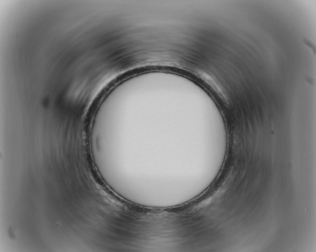 X0000096200926200801181028