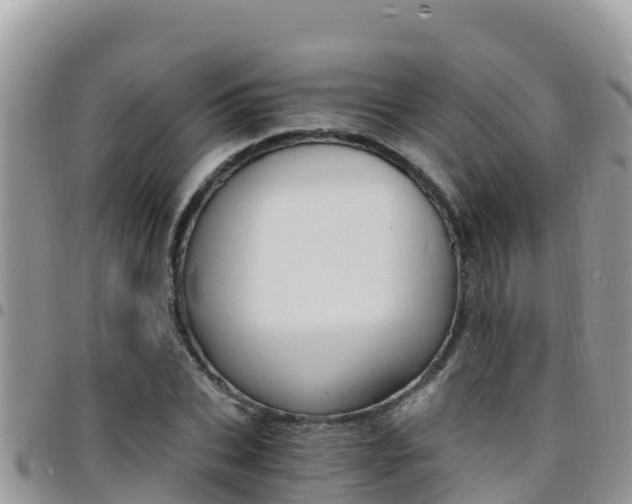 X0000096200927200801181028