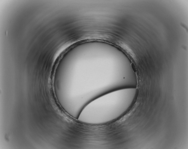 X0000096200928200801181028