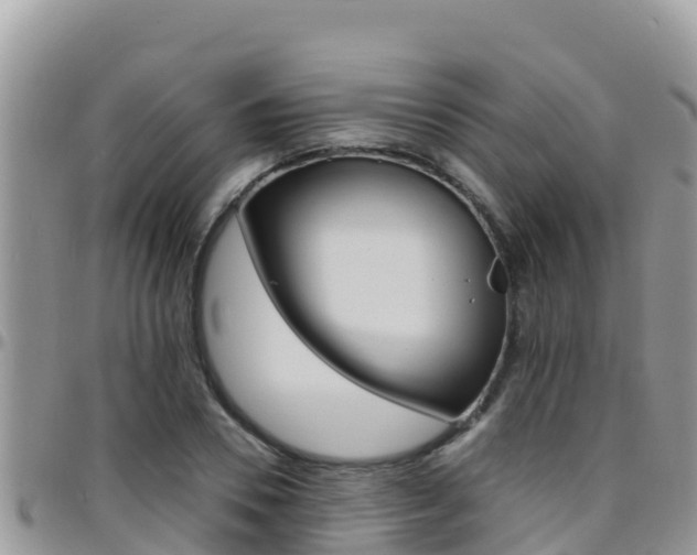 X0000096200930200801181028