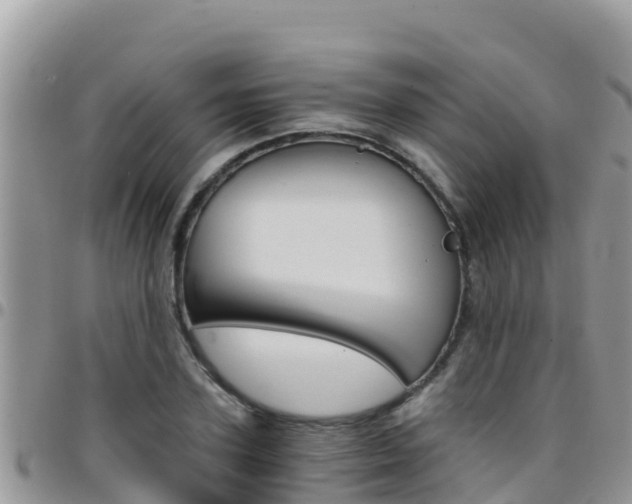 X0000096200931200801181028
