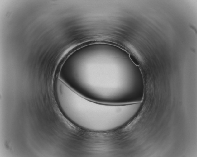 X0000096200932200801181028