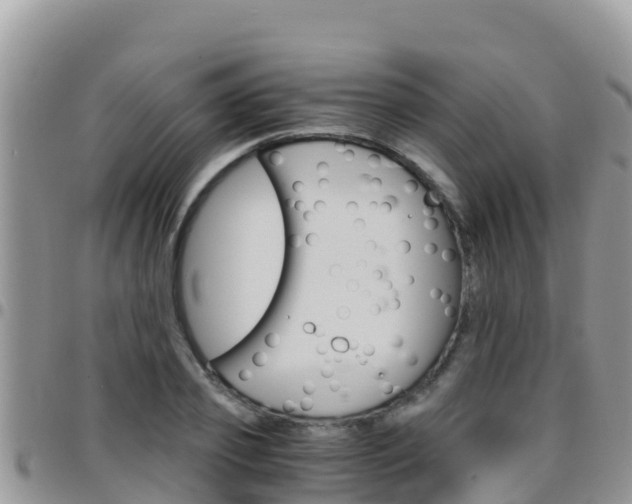 X0000096200933200801181028