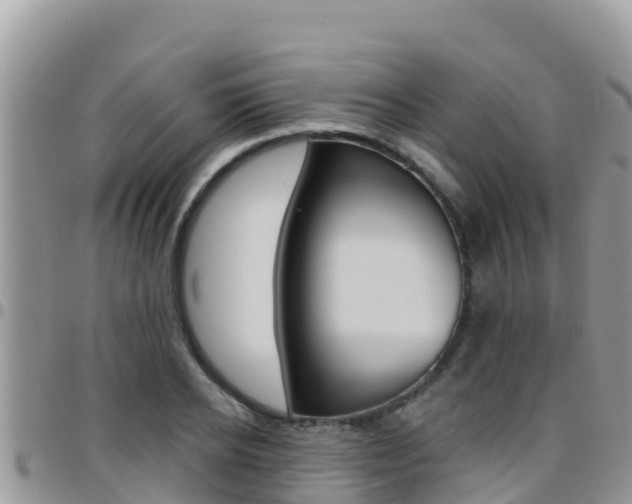X0000096200934200801181028