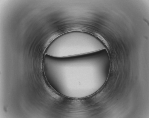 X0000096200938200801181028