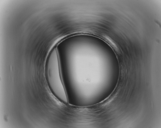 X0000096200940200801181028