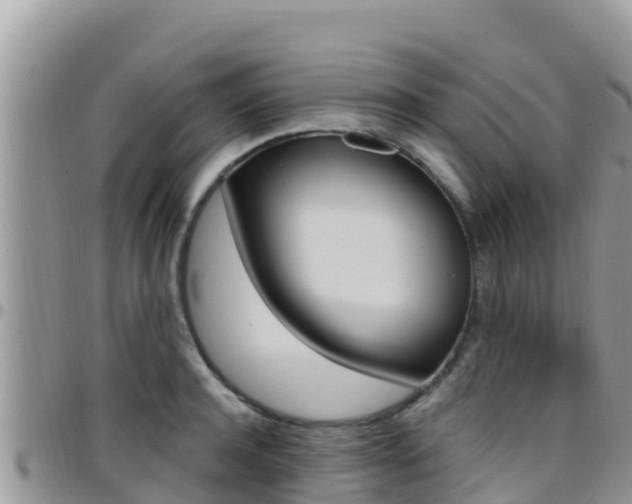 X0000096200944200801181028