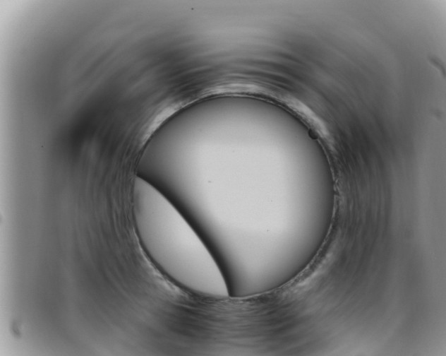 X0000096200945200801181028