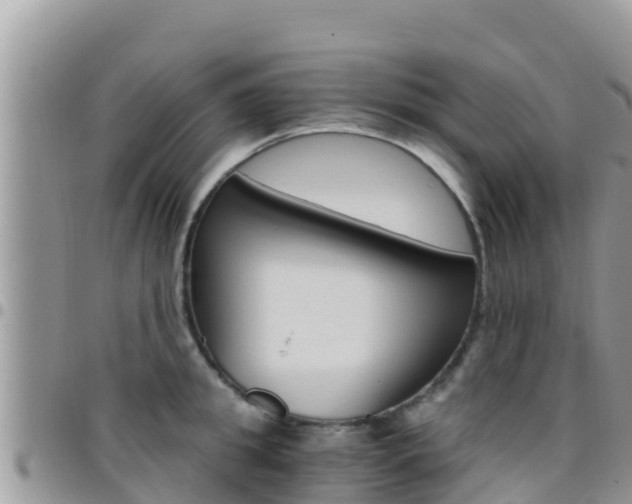 X0000096200949200801181028