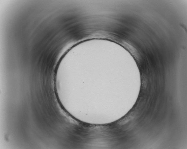 X0000096200950200801181028
