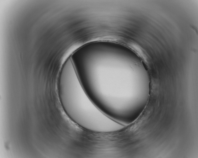 X0000096200952200801181028