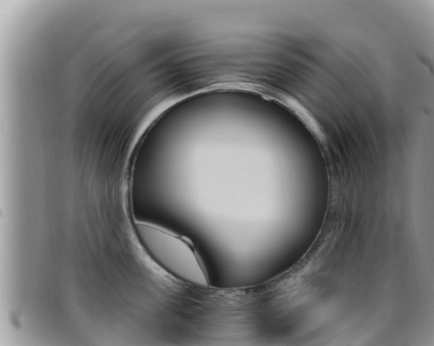 X0000096200955200801181028
