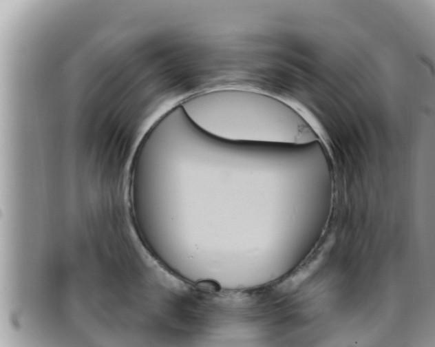X0000096200957200801181028