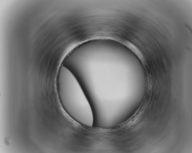 X0000096200958200801181028