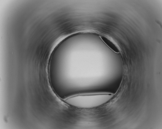 X0000096200959200801181028