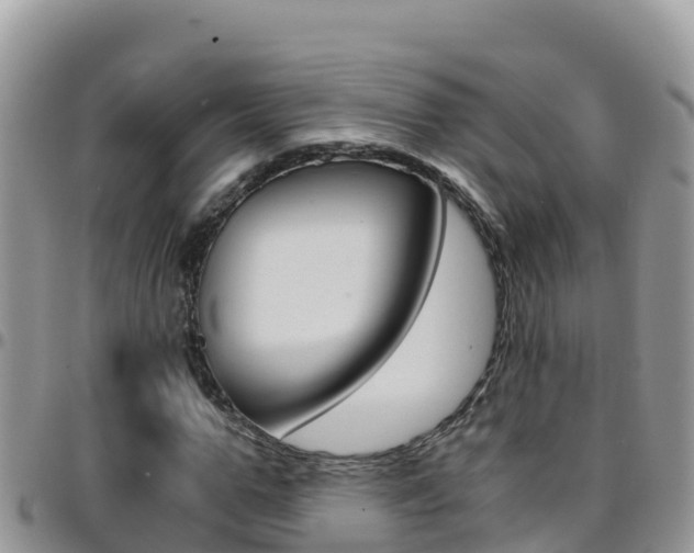 X0000096200967200801181027