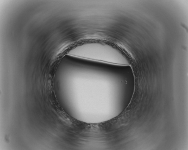 X0000096200968200801181027
