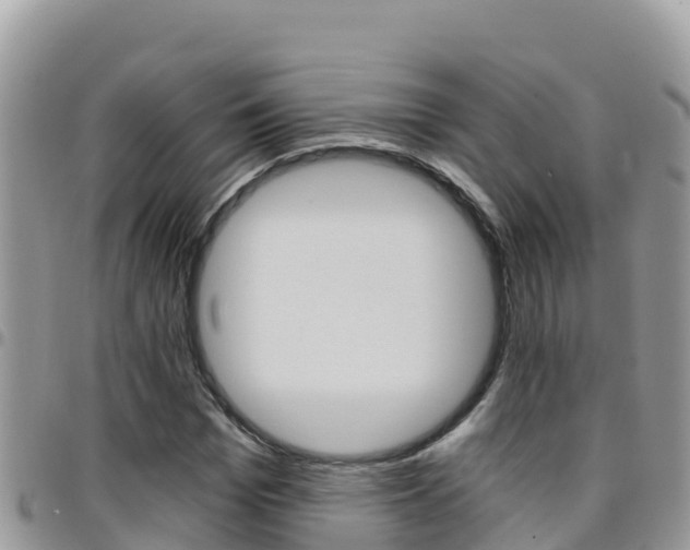 X0000096200969200801181027