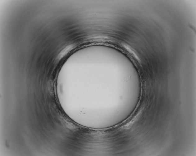 X0000096200970200801181027