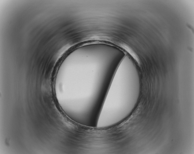 X0000096200972200801181027
