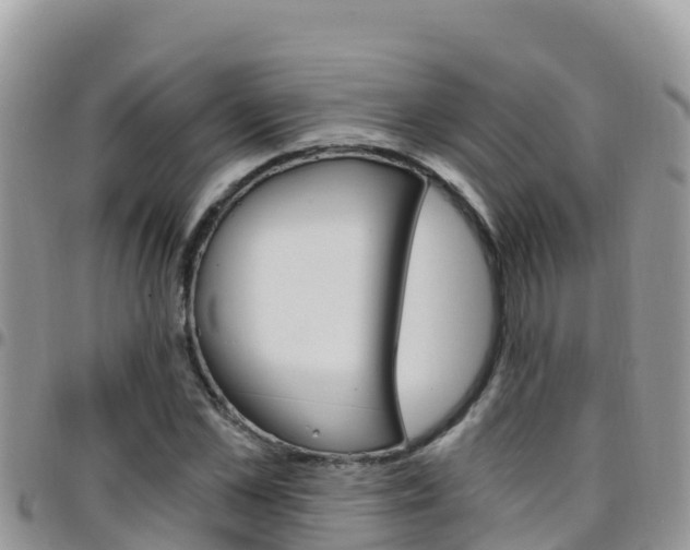 X0000096200973200801181027