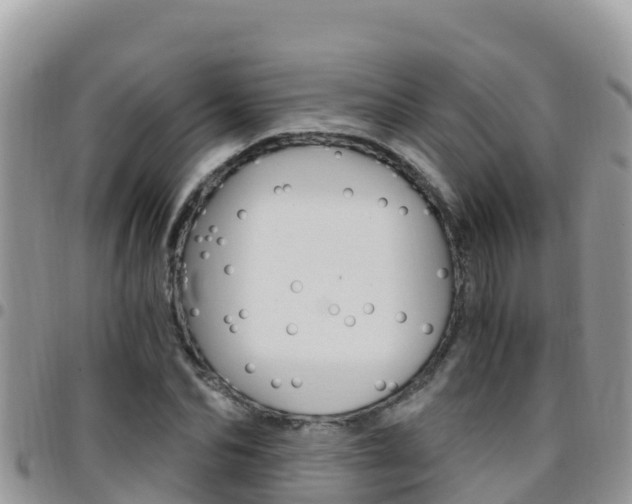 X0000096200974200801181027